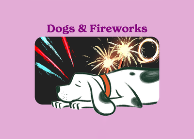 Bonfire night