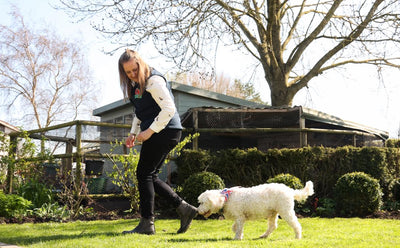 Caroline Wilkinson Trick Training for senior dogs