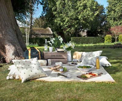 Top picnic spots with your four-legged friend