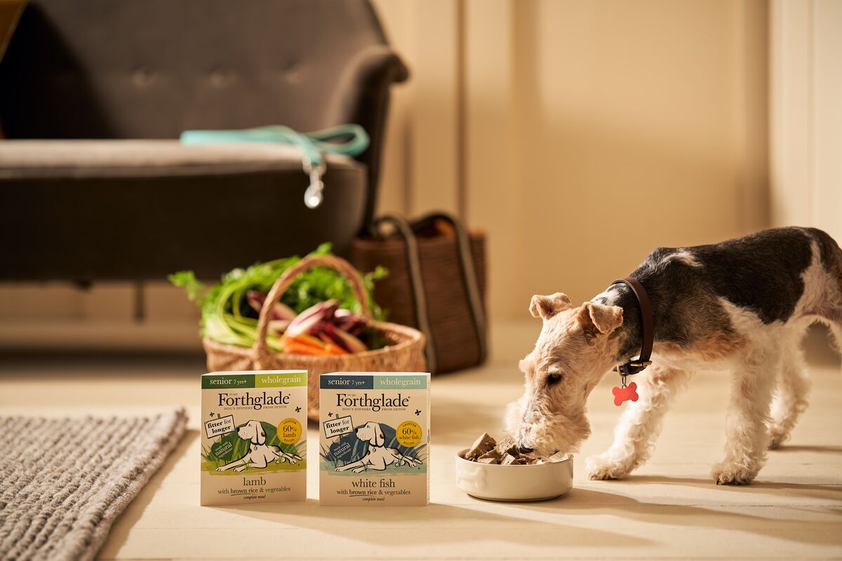 What is the healthiest food for senior dogs Forthglade