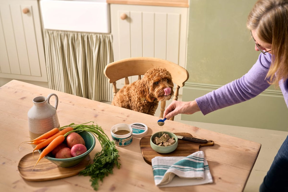 Dog Supplements