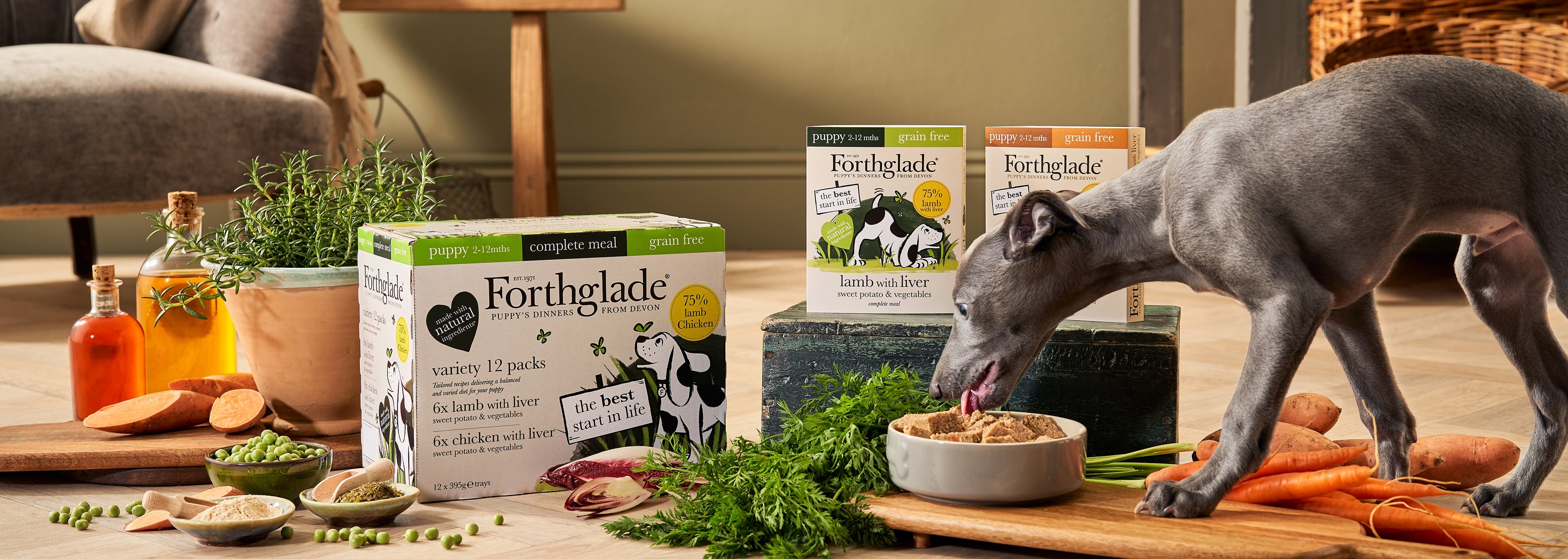 Forthglade dry puppy food discount