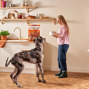 Cold Pressed Turkey Dry Dog Food