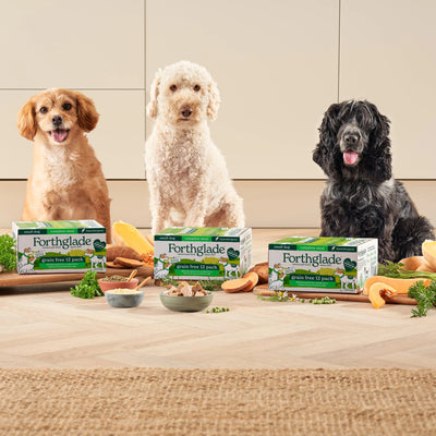 Small Breed Chicken, Turkey & Lamb Dog Food