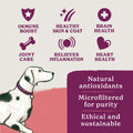 Scottish Salmon Oil for Dogs
