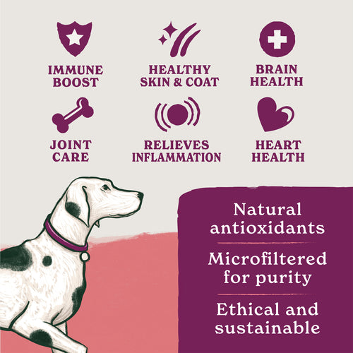 Scottish Salmon Oil for Dogs