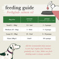 Scottish Salmon Oil for Dogs