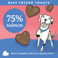 Fish Dog Treats - Salmon & Dill Fishy Bites