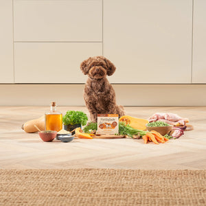 Small Breed Chicken & Vegetables Dog Food