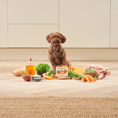 Small Breed Chicken & Vegetables Dog Food
