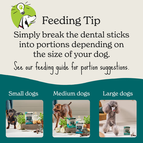 Plant Based Dog Dental Sticks