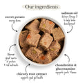 Puppy Lamb & Liver Wet Dog Food