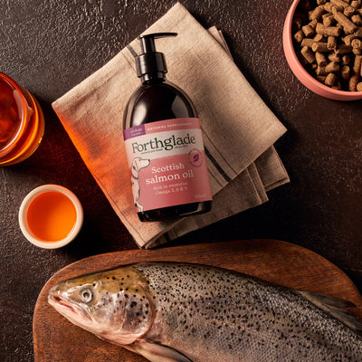 100% Natural Scottish Salmon Oil (1 x 500ml)