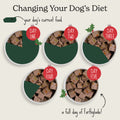 Christmas Classics Cranberry & Parsnip Wet Dog Food