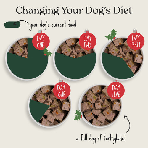 Christmas Classics Cranberry & Parsnip Wet Dog Food