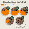 Puppy Lamb & Liver Wet Dog Food