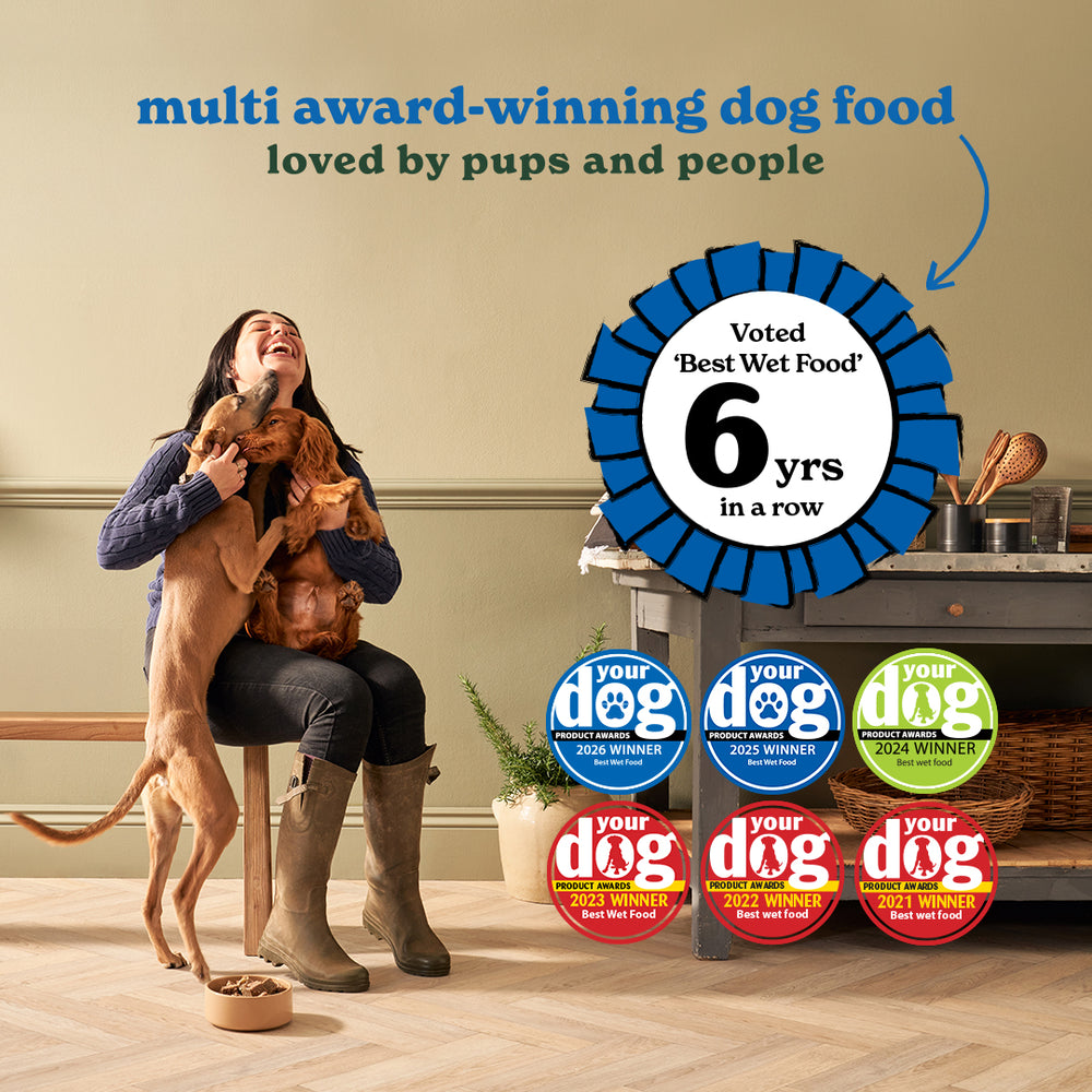 2625 YourDog26 Facebook