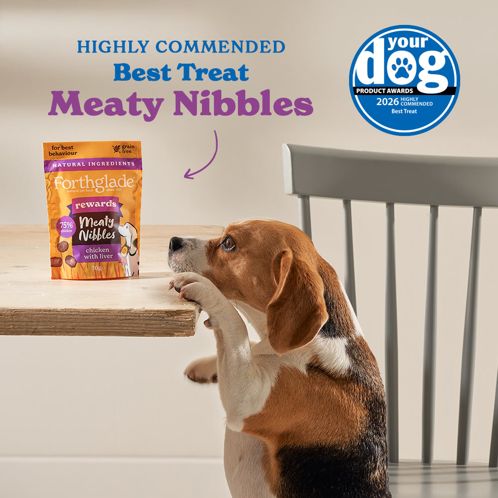 2625 YourDog26 Facebook Treat