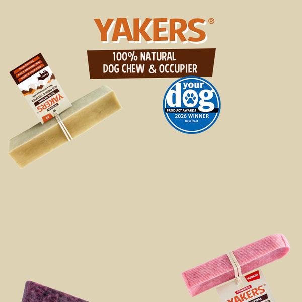 2994 HP Banner Yakers Desktop V2
