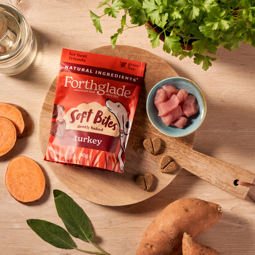 Soft Bites Turkey Dog Treats (1 x 90g)