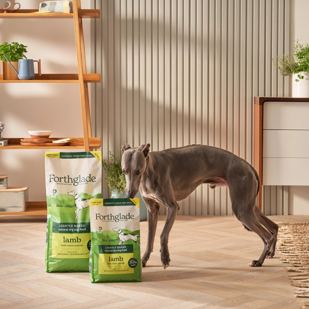 Lamb Lightly Baked Natural Dry Dog Food Forthglade