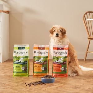 Lightly Baked Natural Dry Dog Food