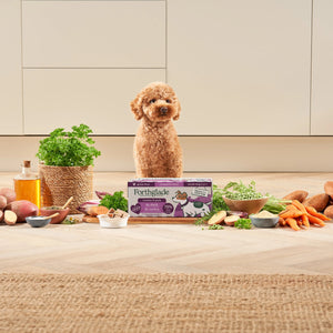 Small Breed Turkey & Duck Wet Dog Food Variety Pack