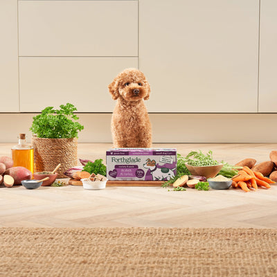 Small Breed Turkey & Duck Wet Dog Food Variety Pack