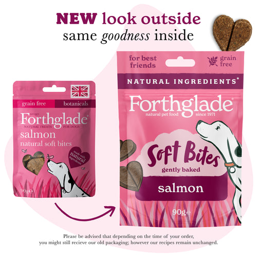 Salmon Dog Treats (1 x 90g)