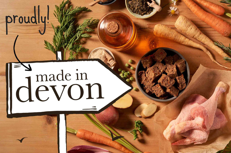 BC Image Blocks Devon