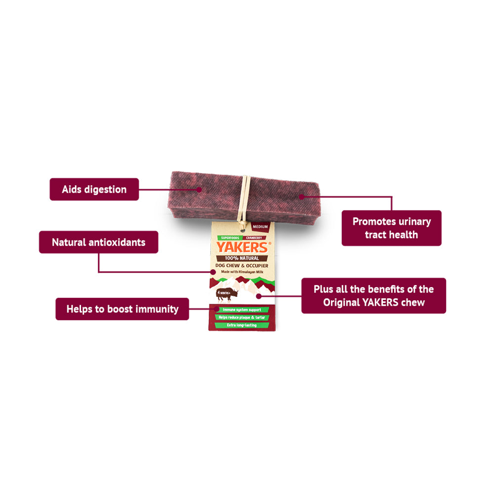 YAKERS Cranberry Dog Chew