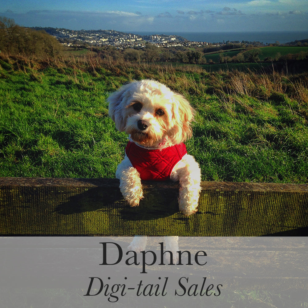 Daphne Digi tail Sales
