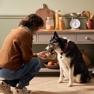 Lamb & Turkey Wet Dog Food + Lightly Baked Turkey Bundle (1 x 6kg + 12 x 395g)