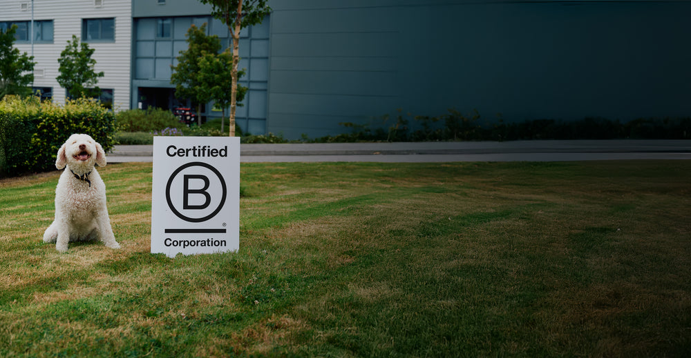 Full width Bcorp