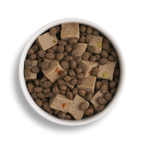 Lamb & Turkey Wet Dog Food + Lightly Baked Turkey Bundle (1 x 6kg + 12 x 395g)