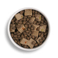 Lamb & Turkey Wet Dog Food + Lightly Baked Lamb Bundle (1 x 6kg + 12 x 395g)