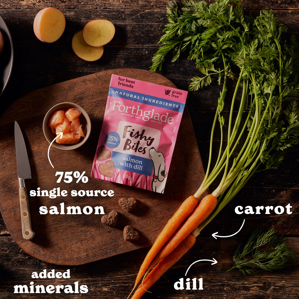 Salmon & Dill Treats (1 x 70g)