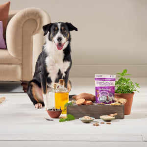 Calming Dog Treats with Camomile & Lavender