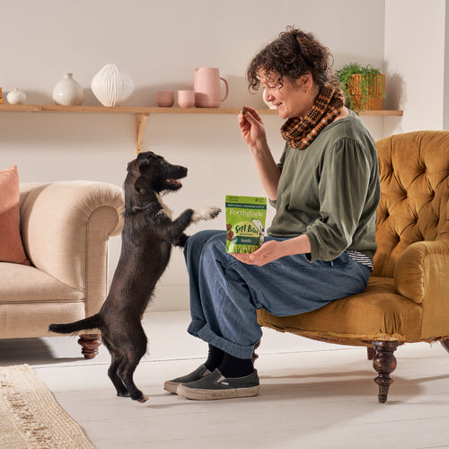 Soft Bites Lamb Dog Treats (1 x 90g)