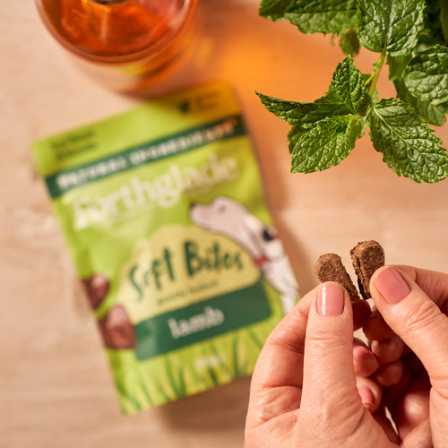 Soft Bites Lamb Dog Treats (1 x 90g)