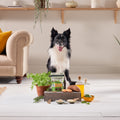 National Trust Chicken & Duck Dog Treats (8x90g)