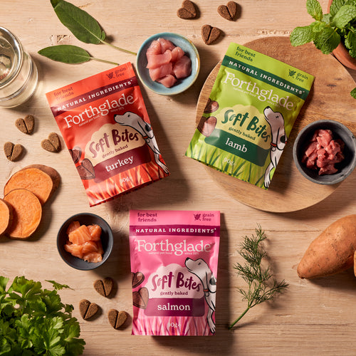 Soft Bites Lamb Dog Treats (1 x 90g)