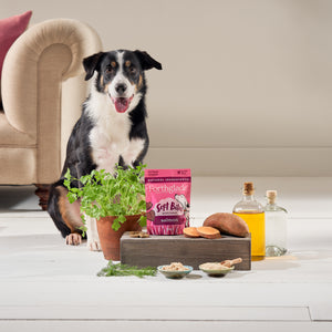Salmon Dog Treats