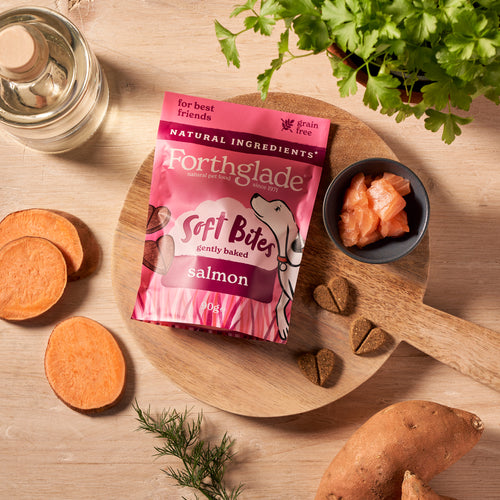 Salmon Dog Treats (1 x 90g)