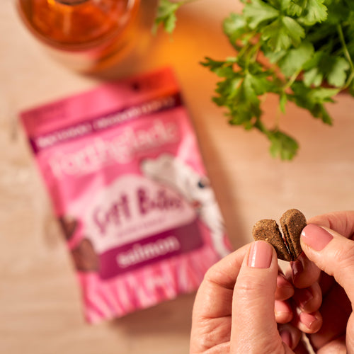 Salmon Dog Treats (1 x 90g)