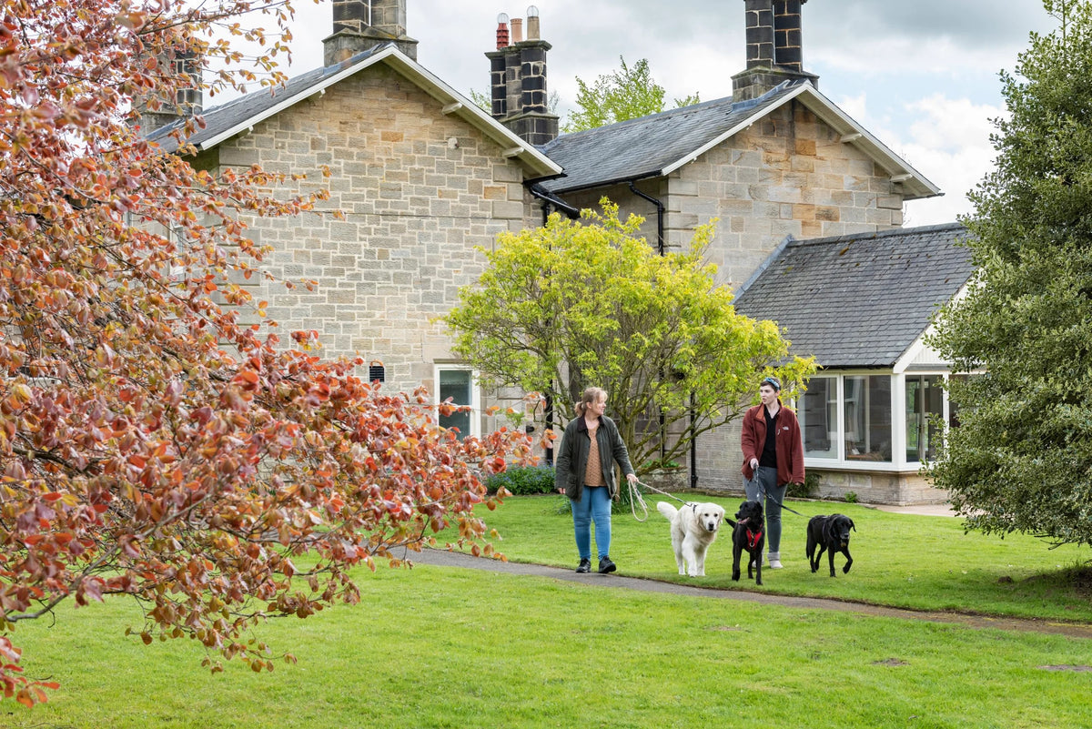 National Trust Dogs Welcome Large 1 e7e71d73 6270 4521 9e2f 1f85781c460b
