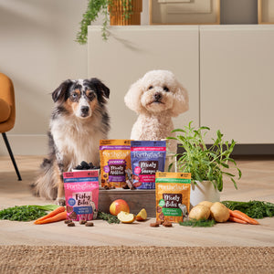 Meaty Treats Dog Treat Bundle