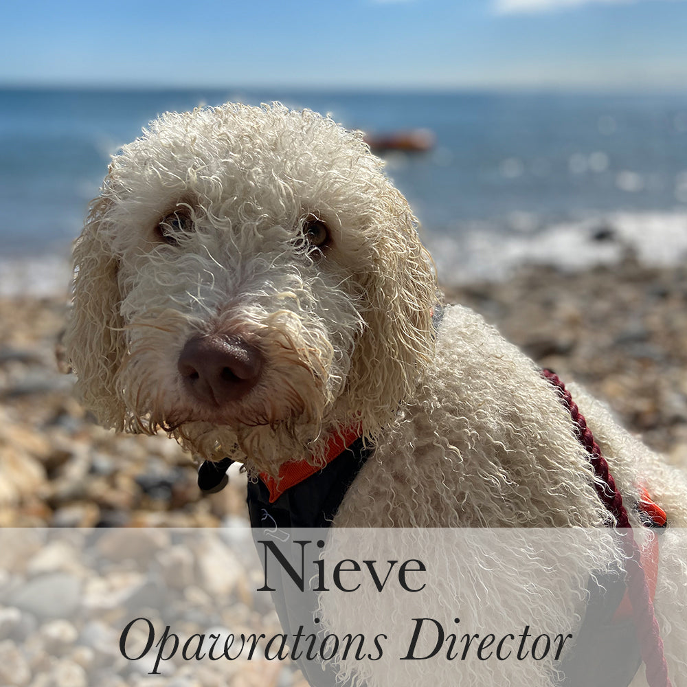 Nieve Opawrations Director