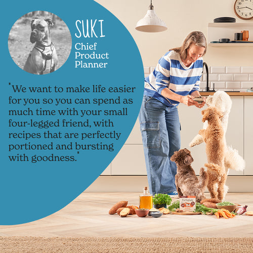 Small Breed Wet & Dry Dog Food Taster Pack
