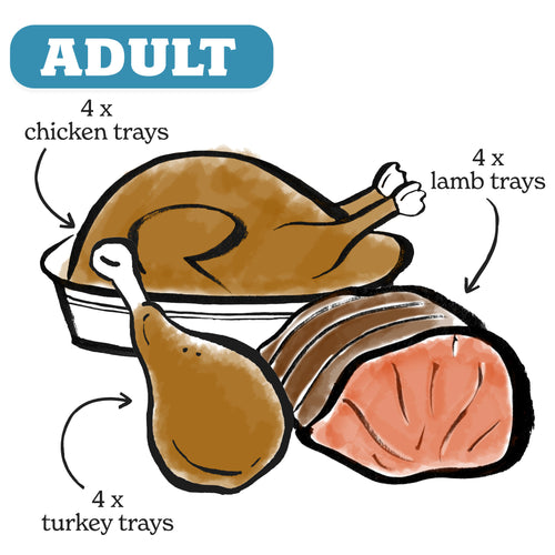 Small Breed Chicken, Turkey & Lamb Dog Food